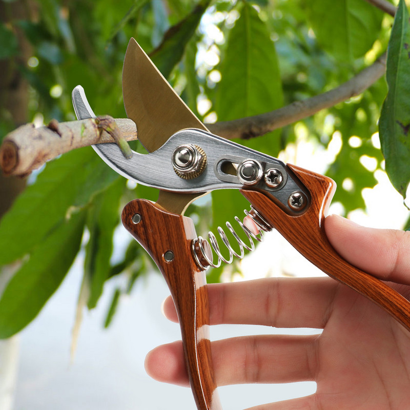 Professional Garden Beak Scissor Horticulture Pruner Orchard Hand Shears Trimmers For Secateur Shrub Bonsai Bypass Tree Branch