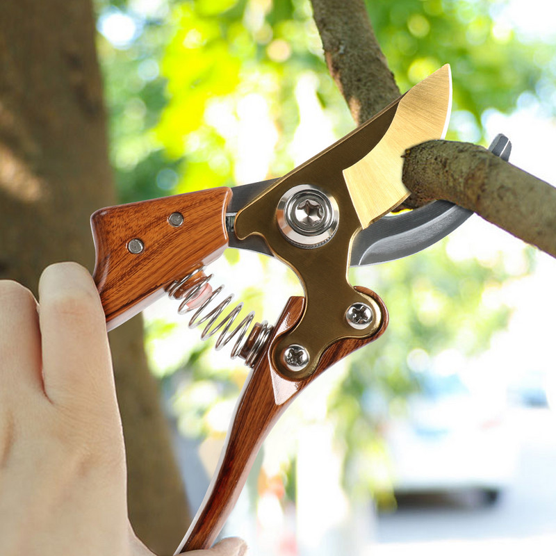 Professional Garden Beak Scissor Horticulture Pruner Orchard Hand Shears Trimmers For Secateur Shrub Bonsai Bypass Tree Branch