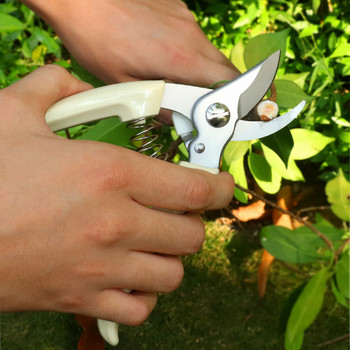 Pruner Orchard and The Garden Hand Tools Bonsai For Scissors Gardening Machine Chopper Pruning Shears Brush Cutter Professional