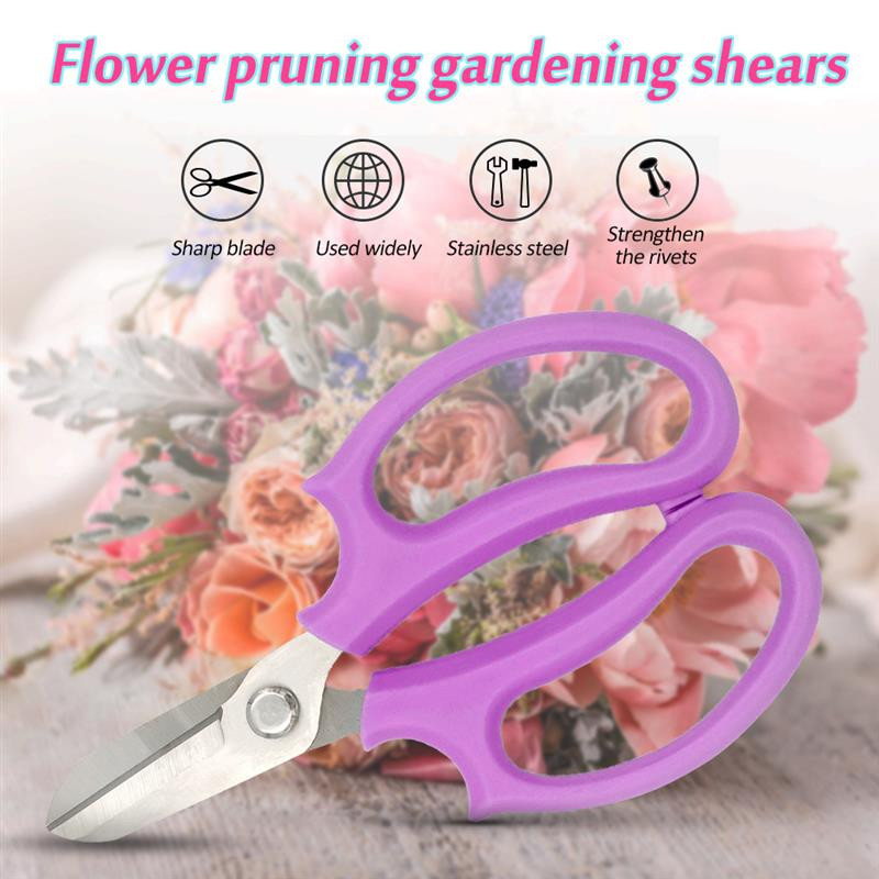 Alati za vrtno cvijeće Alati za obrezivanje drveća Alati od nehrđajućeg čelika za voćke, cvijeće i grane Kućne škare za obrezivanje Vrtne škare
