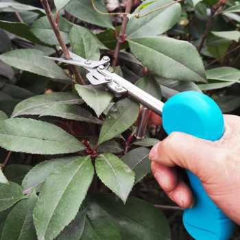 Инструменти за изграждане на градински растения Нови остри градински ножици Специални ножици за бране на плодове от клони на растения Преносими и издръжливи