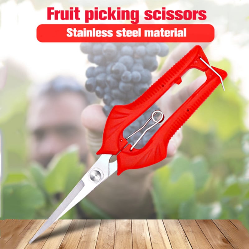 Dārza atzarošanas šķēres Daudzfunkcionālās šķēres Augļu novākšanas Šķēres Atzarošanas nezāles Mājsaimniecības podos zari Dārza instrumenti