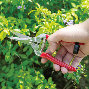 Градинарска ръчна ножица Градинска ножица Ножица за подрязване Ножици за подрязване с микровърхове Тример за листа Права цветарска ножица за растения