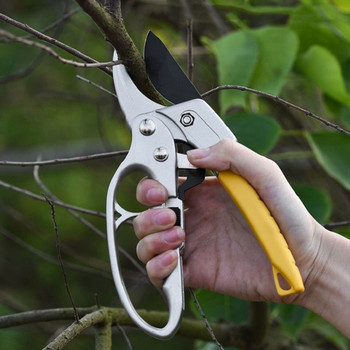Ножици за подрязване на овощни дървета Градински сегментирани градински инструменти Ръчен инструмент Ножици за бонсай Растения Тример Ножици