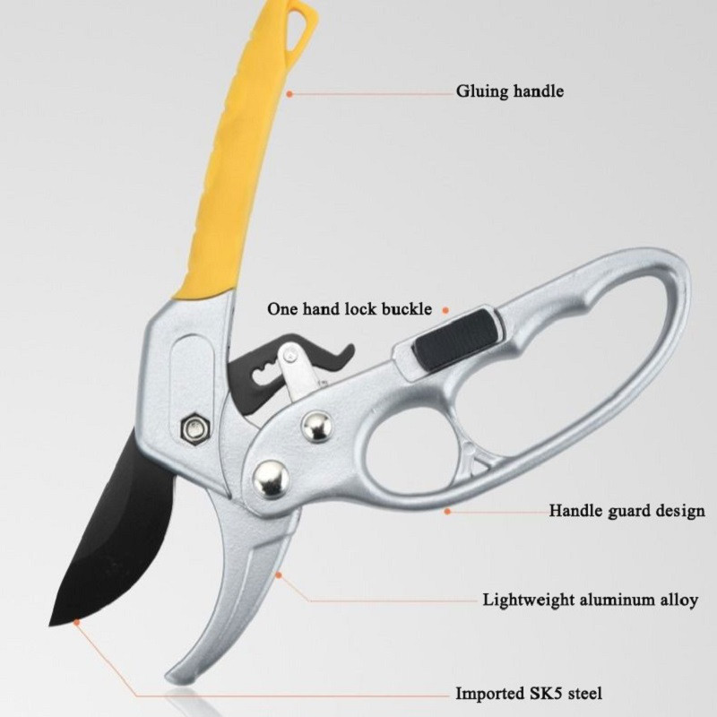 Gyümölcsfa metszőolló Metszőolló Kerti szegmentált kertészeti eszközök Kéziszerszámok Bonsai Olló Növények Vágóolló
