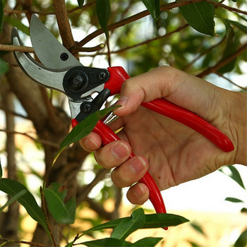 Pruner Garden Scissors Plant Trim Horticulture Pruner Branch Ψαλίδι οπωρώνων Κόψιμο ψαλίδι θάμνων Κοπή Εργαλείο ψαλιδιού κήπου