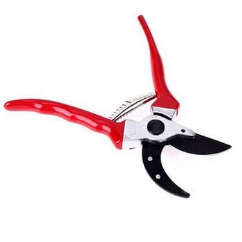 Pruner Garden Scissors Plant Trim Horticulture Pruner Branch Ψαλίδι οπωρώνων Κόψιμο ψαλίδι θάμνων Κοπή Εργαλείο ψαλιδιού κήπου