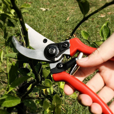 Foarfece de grădinărit pentru tăiere plante pentru horticultură tunder pentru ramură foarfecă pentru livadă foarfecă pentru tăiat arbuști de grădină.