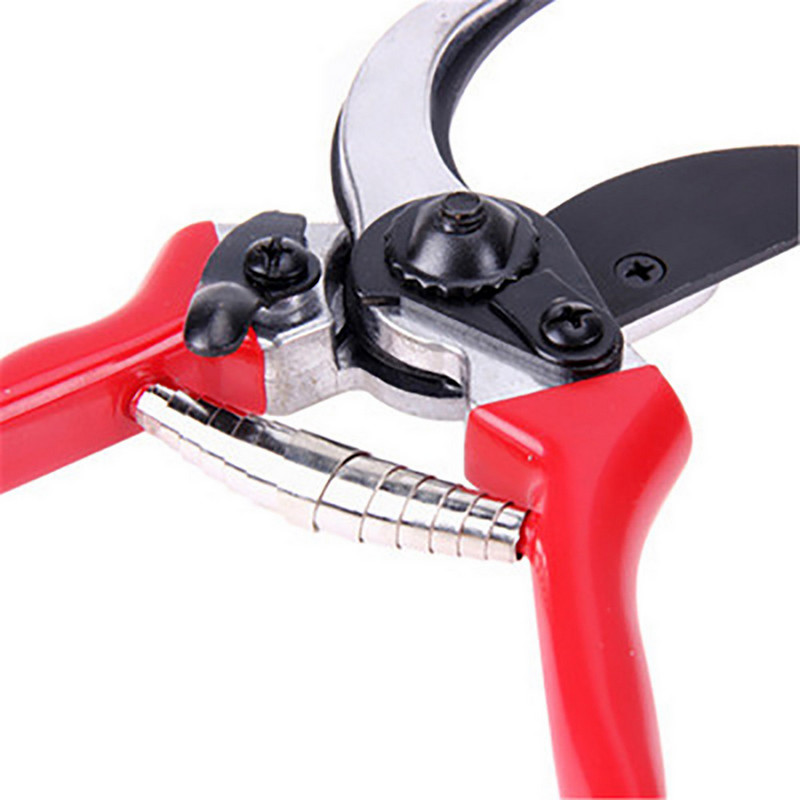 Atzarotājs Dārza Šķēres Augu Apgriešana Dārzkopība Atzaru zaru Šķēres Augļu dārzs Atzarošanas šķēres Griezt Šķēres dārza Šķēres rīks