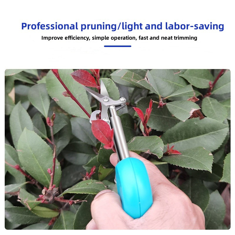 Φορητό ψαλίδι κλαδέματος κήπου Ψαλίδι συλλογής φρούτων Φορητό ψαλίδι συλλογής πιπεριών Medlar Floral ψαλίδι σπιτιού Εργαλεία χειρός κηπουρικής