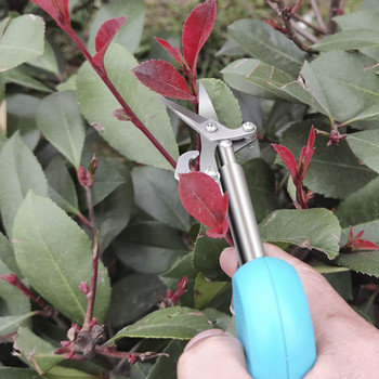 Нова градинска ножица за подрязване Ножици за бране на плодове Домакински саксийни подстригвания Плевелни клони Малки ножици Градински инструменти Dropship