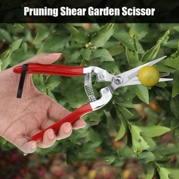 Ψαλίδι κλαδέματος κήπου Grass Sturdy Fruit Tree Bonsai Gardening Pruning Shear Garden Scissors Pruner Tool Χονδρική