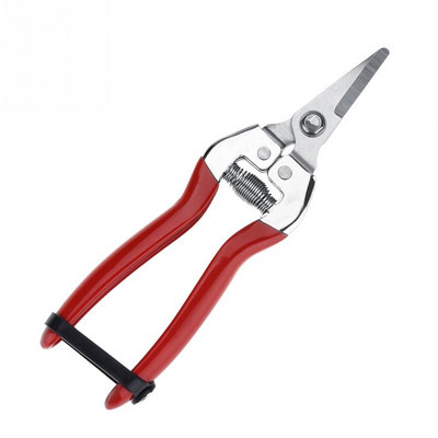 Dārza atzarošanas šķēres zāle Izturīgs augļu koku pundurkociņš Dārzkopība atzarošanas šķēres Dārza šķēres atzarotāju instrumentu vairumtirdzniecība