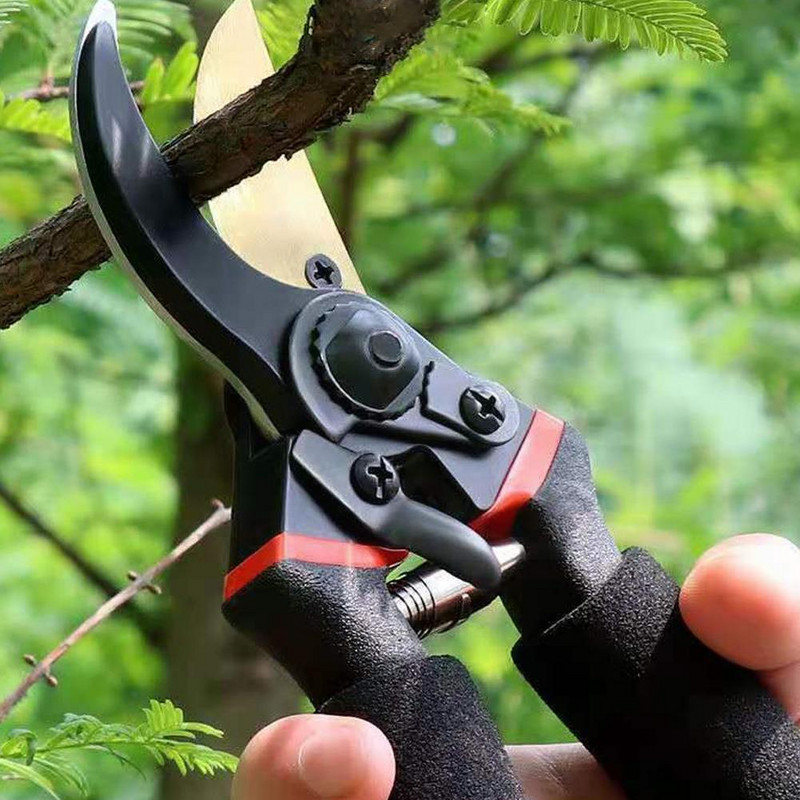 Sk5 Steel Kertészet Gyümölcsfa metszőolló Kerti ollók Virágág-eszközök Virágág-olló Olló Metszőolló D6e4