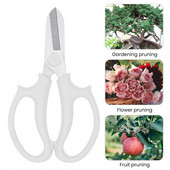 Kertészeti ollók Tartós, kényelmes markolat Színes növényág Szőlő Gyümölcsfák Metszőolló Kerti szerszám