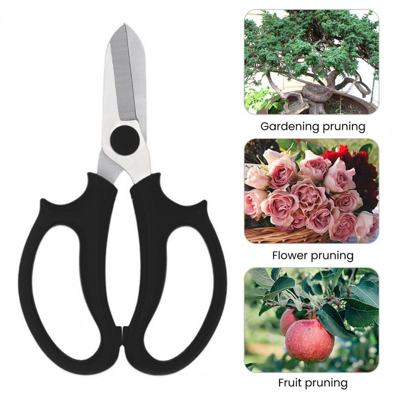 Kertészeti ollók Tartós, kényelmes markolat Színes növényág Szőlő Gyümölcsfák Metszőolló Kerti szerszám