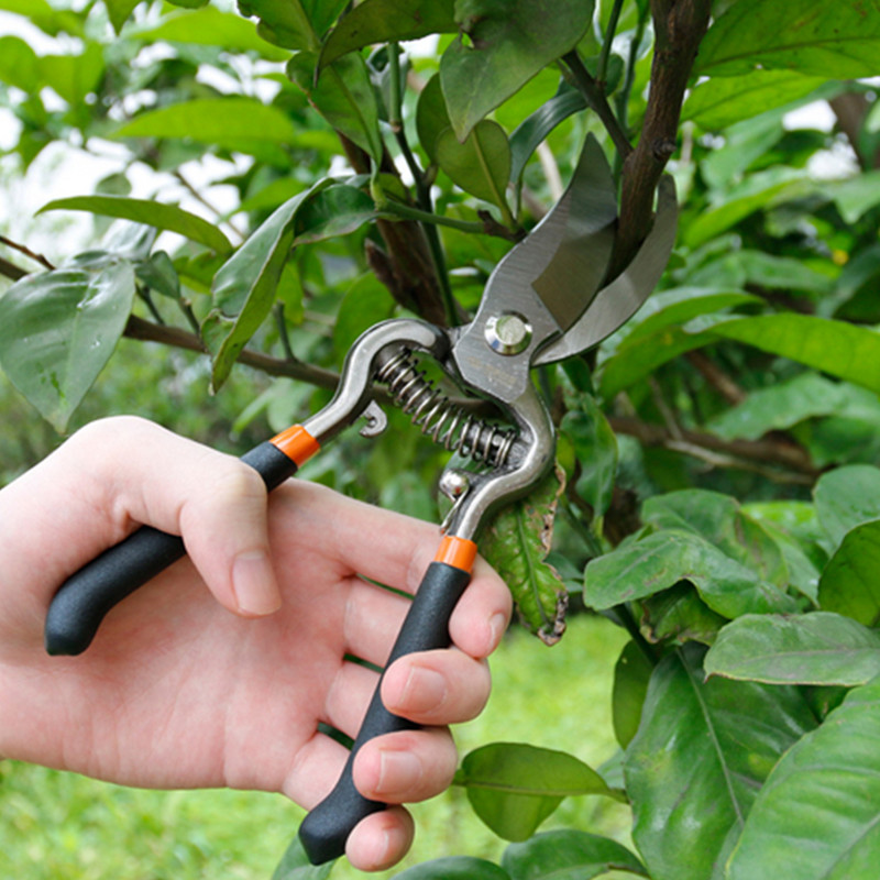 8/10"-es nehéz metszőollók metszővágók metszőszerszámok tartós ágvágó olló növényvágó ollók kerti ollók kerti szerszámok