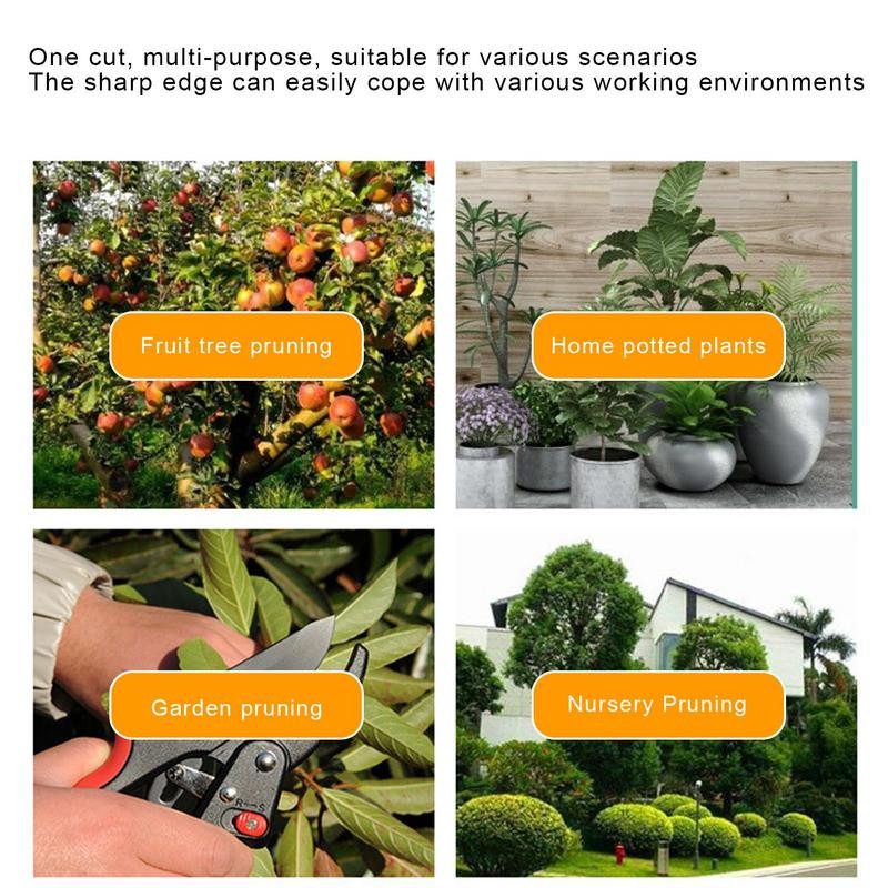 Ψαλίδι κήπου Κλάδεμα Επαγγελματικό Ψαλίδι Εμβολιασμού Ψαλίδι Κήπου Εργαλεία Κήπου Ψαλίδι Κήπου Ψαλίδι Κλαδέματος για Κοπτικά Λουλούδια