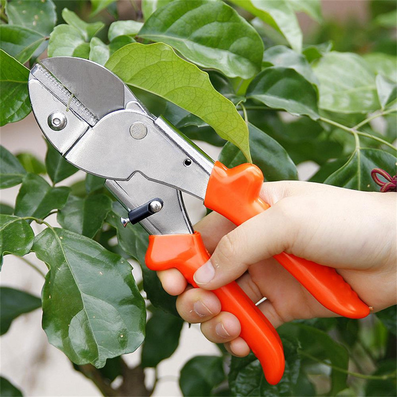 Ψαλίδι κλαδέματος Garden Prunin Secateurs Ψαλίδι κλαδέματος, οπωροφόρα δέντρα κήπου, χοντρά κλαδιά, ψαλίδι λουλουδιών, έντονο κλάδεμα