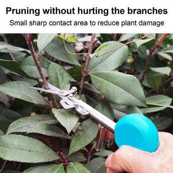 Нови заострени ножици за бране на плодове Бране на пипер и мушмули Ножици за цветя Градински инструменти Ножици за подрязване