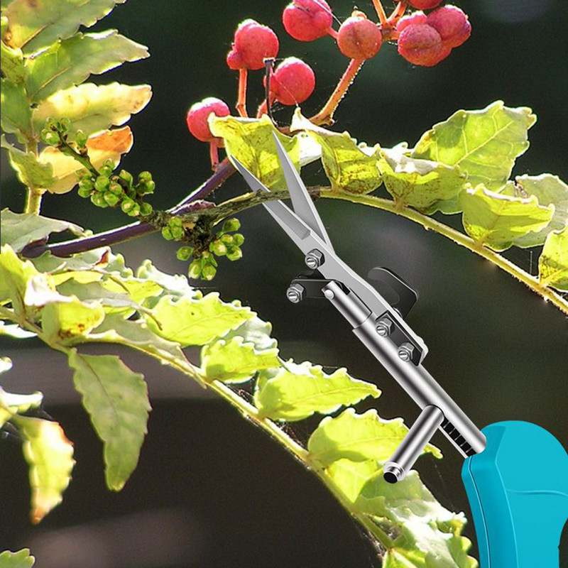 New Pointy Fruit Picking Scissors Picking Pepper and Medlar Floral Scissors Εργαλεία κηπουρικής Ψαλίδι κλαδέματος