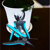 15*3,5 cm-es többfunkciós Munkatakarékos oltószerszám Acél gyümölcsfa metszőolló Metszőolló Kerti ollók Kerti metszőolló