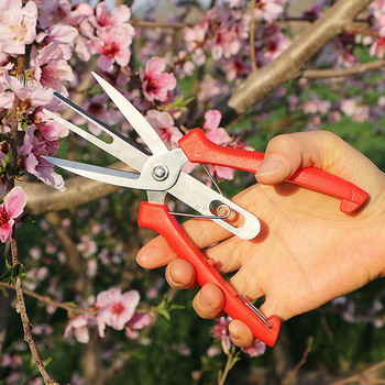 Ножици за прореждане на плодове и цветя с два порта Ножици за бране на плодове Градинарски ножици за подрязване Инструменти за подрязване на овощни дървета