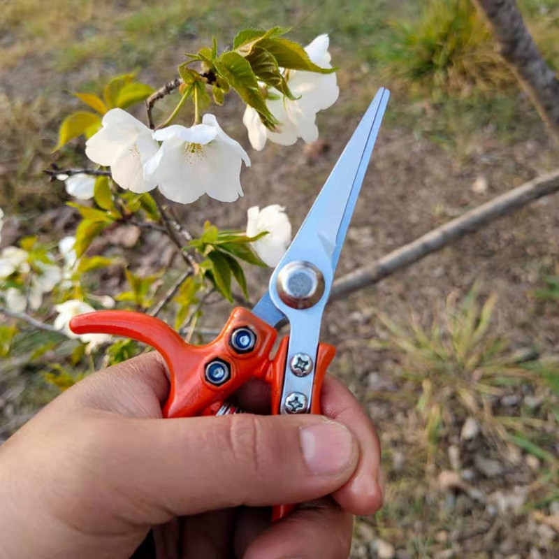 Dārza atzarošanas šķēres Nerūsējošā tērauda Daudzfunkcionālas atzarošanas instrumenti Šķēres Apvedceļa grieznes Augļu savākšanas Nezāļu Šķēres Griezējs