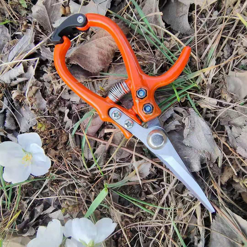 Dārza atzarošanas šķēres Nerūsējošā tērauda Daudzfunkcionālas atzarošanas instrumenti Šķēres Apvedceļa grieznes Augļu savākšanas Nezāļu Šķēres Griezējs