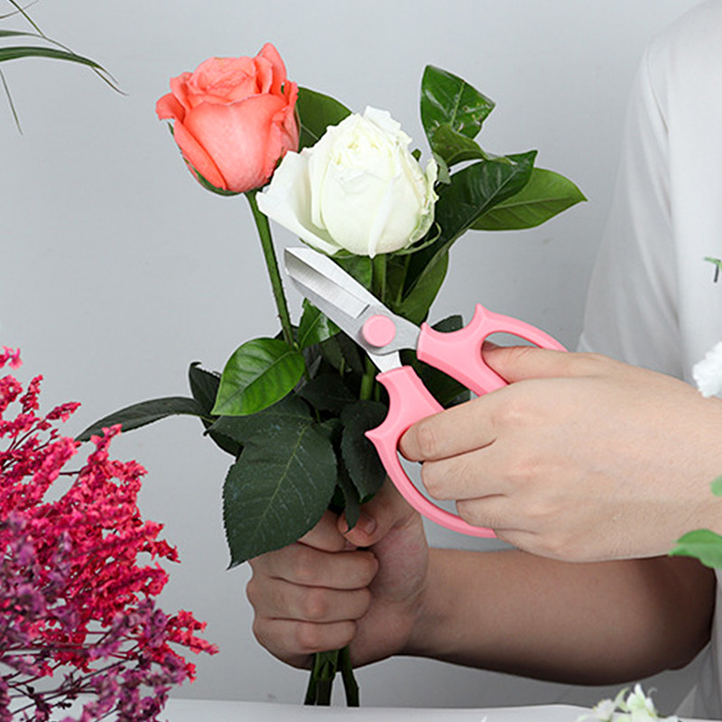 Ανοξείδωτο ψαλίδι λουλουδιών Ψαλίδι κήπου Flower Shop Ψαλίδι κλαδέματος λουλουδιών κήπου Εγχειρίδιο ψαλίδι κήπου Εργαλεία κηπουρικής