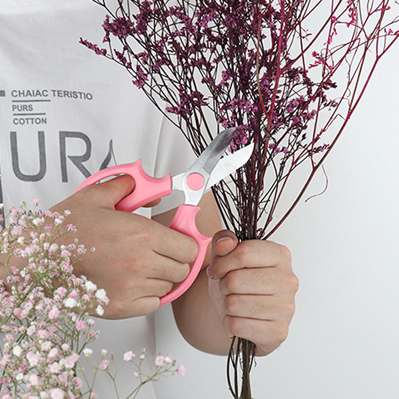 Ανοξείδωτο ψαλίδι λουλουδιών Ψαλίδι κήπου Flower Shop Ψαλίδι κλαδέματος λουλουδιών κήπου Εγχειρίδιο ψαλίδι κήπου Εργαλεία κηπουρικής