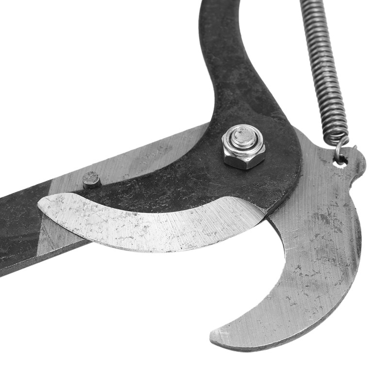 Fekete csiga magas ágú olló Kerti mezőgazdasági szerszámok Metszőszerszám Gyümölcsszerszám Kiskereskedelem