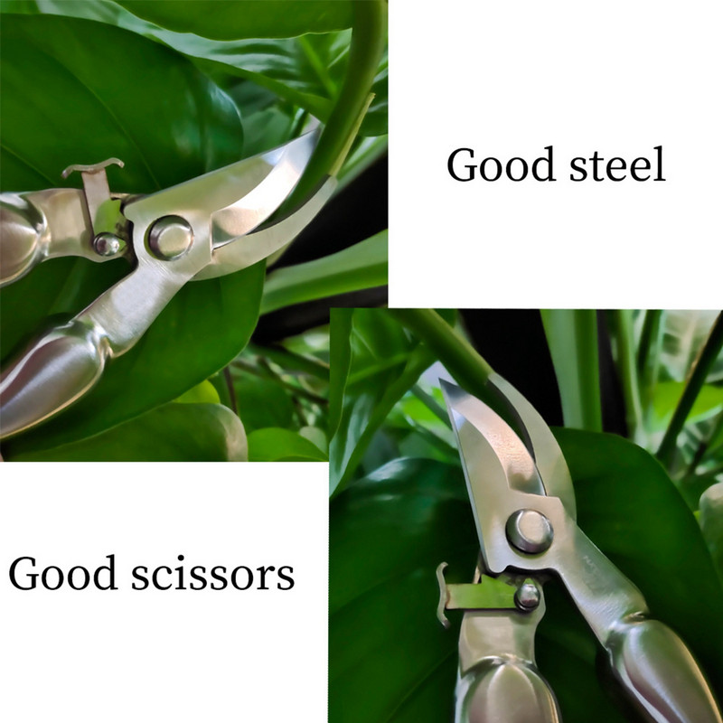 304 nerūsējošā tērauda augļu dārza un dārza grieznes šķēres augļu koku šķēres rokas instrumenti pundurkociņš dārza piederumi potēšanas rīks