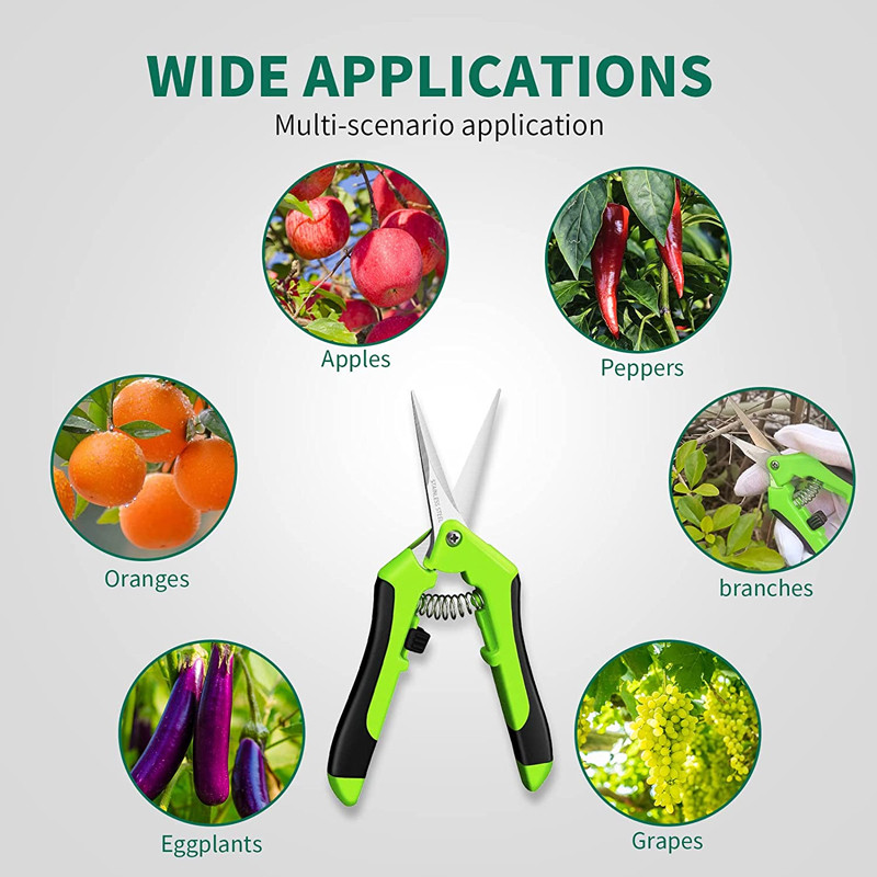 1 gab. Dārza instrumenti Šķēres Bonsai Šķēres Metāla dārzkopības Šķērveida atzarošanas rīks Rokas griezējs Augļi Nezāļu novākšana Mājsaimniecība Podos