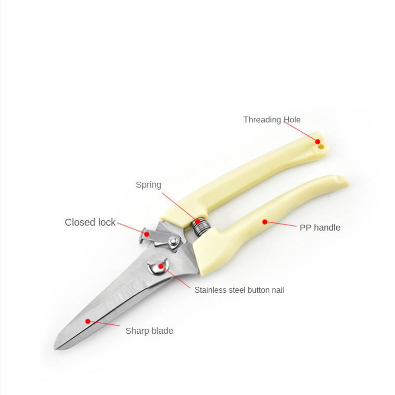 Többfunkciós kertészeti metszés rozsdamentes acél oltószerszám olló ágvágó szerszám olló Kertészet gyümölcsfa metszőolló