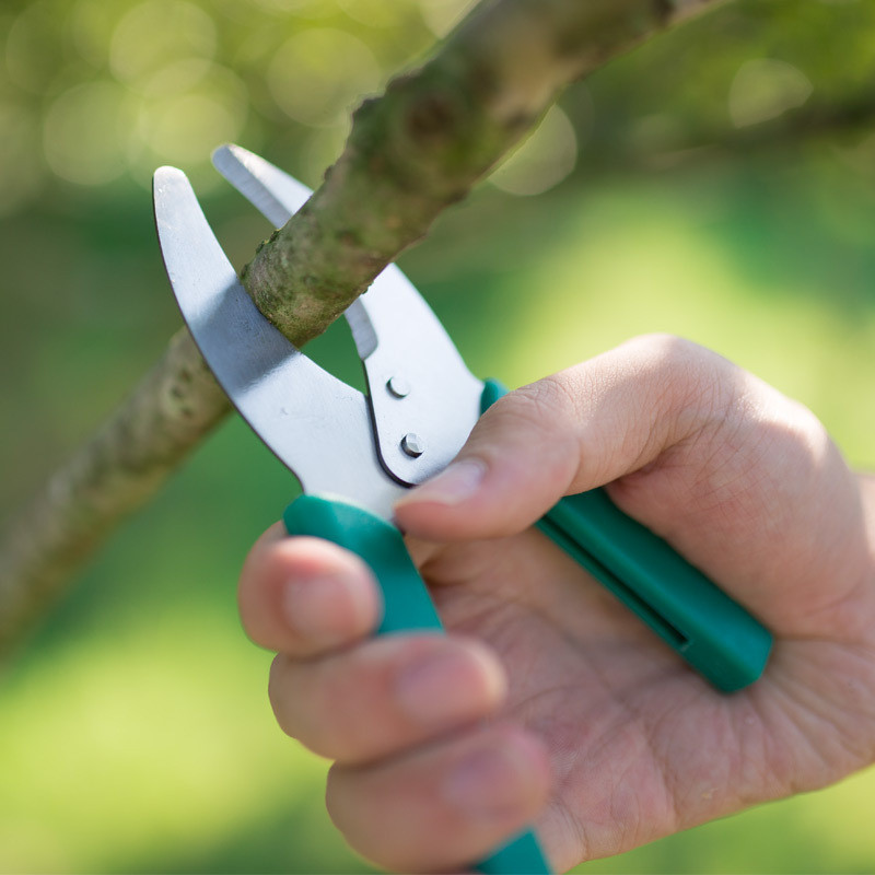 Prsten protiv klizanja Škare za rezanje Lako vrtlarenje Orezivanje Škare za skidanje bonsaija Obrezivanje korova Grane za grožđe Alati za stabla