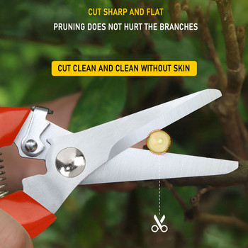 New Pruner Orchard and The Garden Hand Tool Bonsai For Scissors Gardening Machine Anvil Branch Shear Fruit Picking Pruning Shear