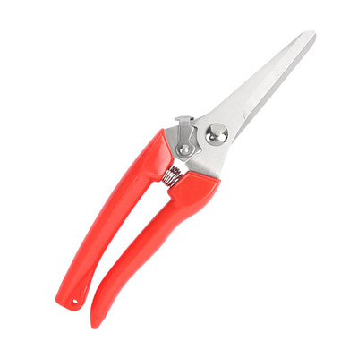 Jauns griezējs augļu dārzs un dārza rokas instruments šķērēm.