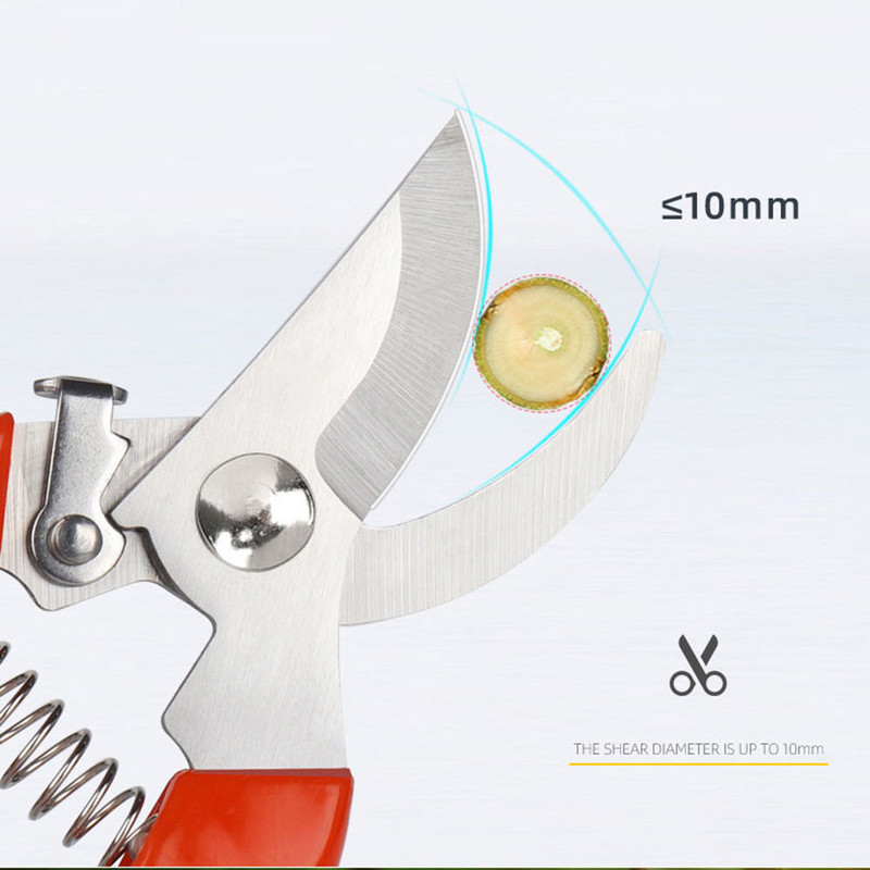 Jauns griezējs augļu dārzs un dārza rokas instruments šķērēm.