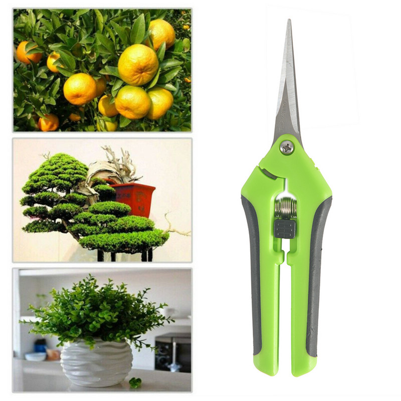 Roostevabast terasest oksakäärid Bonsai käärid majapidamises kasutatavad aiatööriistad okste, umbrohu lõikamiseks ja puuviljakorjamiseks