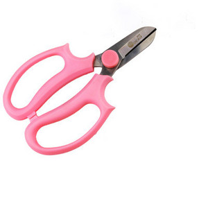 Vrtne škare za rezidbu Škare za cvijeće Čelik Ploče za cvijeće Škare za lišće Ručne obrezivače Alat za obrezivanje Vrtlarstvo Rezanje cvjetnih aranžmana