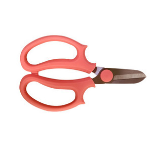 Vrtne škare za rezidbu Škare za cvijeće Čelik Ploče za cvijeće Škare za lišće Ručne obrezivače Alat za obrezivanje Vrtlarstvo Rezanje cvjetnih aranžmana