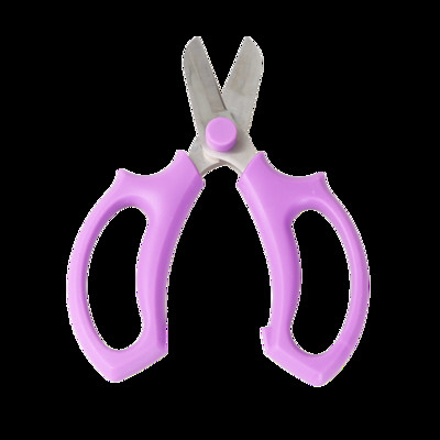 Vrtne škare za rezidbu Škare za cvijeće Čelik Ploče za cvijeće Škare za lišće Ručne obrezivače Alat za obrezivanje Vrtlarstvo Rezanje cvjetnih aranžmana