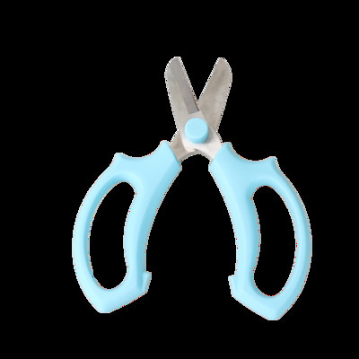 Vrtne škare za rezidbu Škare za cvijeće Čelik Ploče za cvijeće Škare za lišće Ručne obrezivače Alat za obrezivanje Vrtlarstvo Rezanje cvjetnih aranžmana