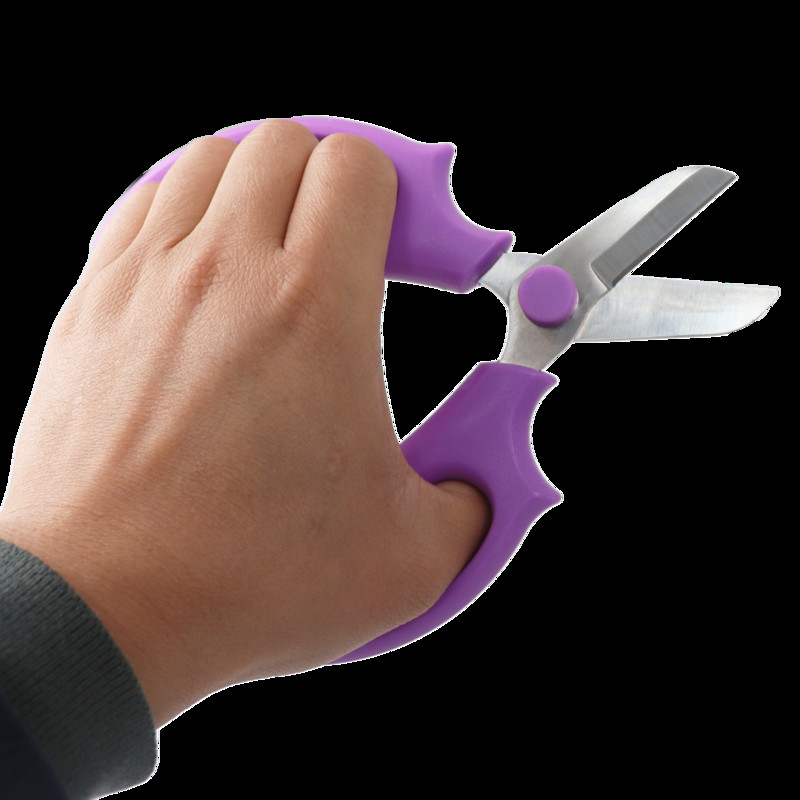 Vrtne škare za rezidbu Škare za cvijeće Čelik Ploče za cvijeće Škare za lišće Ručne obrezivače Alat za obrezivanje Vrtlarstvo Rezanje cvjetnih aranžmana