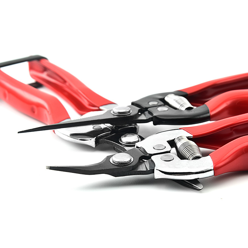 HDL multifunkciós kerti olló Gyümölcsösszedő Gyümölcsolló Használható Metszés Cserepes növények Virág Kéziszerszámok