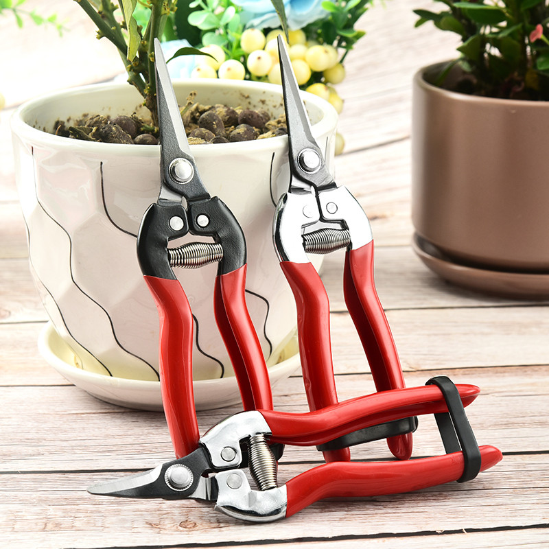 HDL multifunkciós kerti olló Gyümölcsösszedő Gyümölcsolló Használható Metszés Cserepes növények Virág Kéziszerszámok