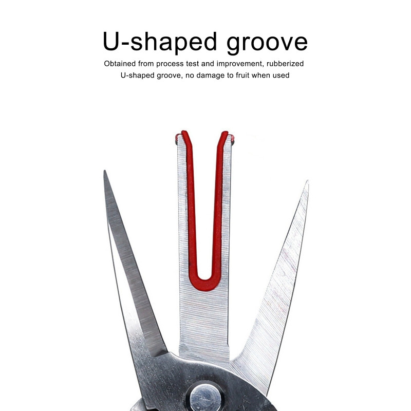 Aia oksakäärid Kahe teraga oksakäärid Puuviljakorjamise Oksad Potis umbrohulõikuskäärid Sirge küünarnukiga pügamistööriistad