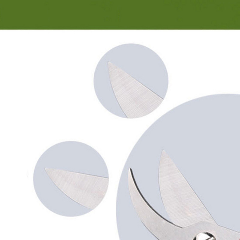 Augu apgriešana Dārzkopība Atzarotājs Griezis Šķēres dārzs Nerūsējošā tērauda šķēres Instrumenti Zaru šķēres Augļu dārza atzarošanas šķēres Jauns