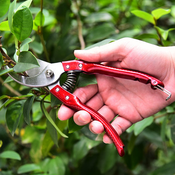 HDL Градински инструменти за подрязване SK5 Ножици за бране от въглеродна стомана Ножици за бонсай Могат да се използват за подрязване на саксийни растения и бране на плодове